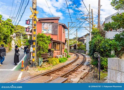 鎌倉 カフェ 古民家 - 時を超える味覚の旅